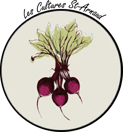logo St-Arnaud